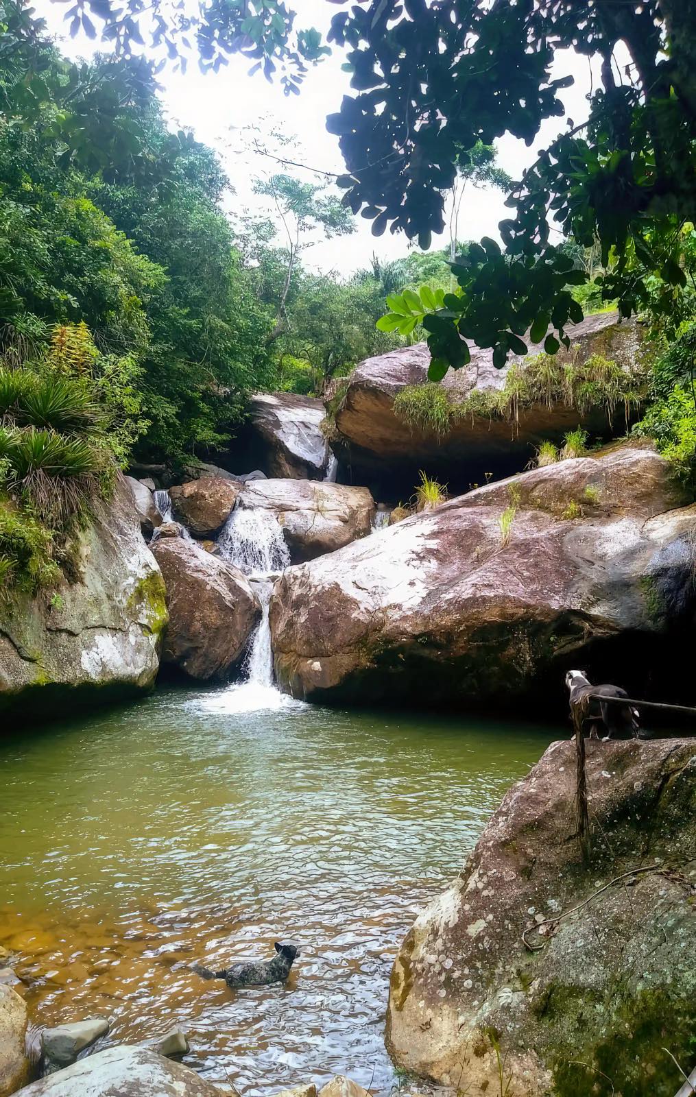 Waterfall between boulders