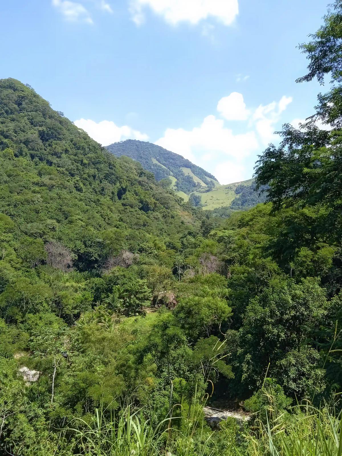 Jungle-covered mountains around the Sana valley